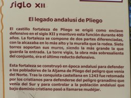 Castillo de Pliego 2009